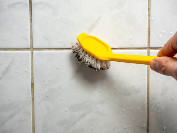 Best Mold Testing and Inspection Services in Celina, TX