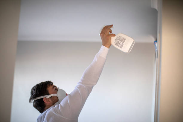Best Residential Mold Remediation in Celina, TX